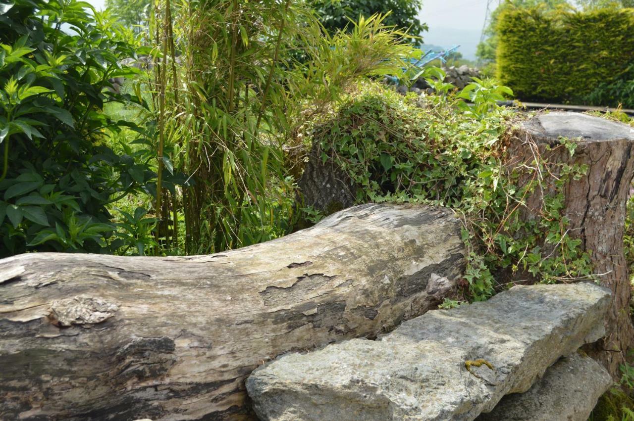 Beudy Bach And Beudy Mawr Mountainstudios Bangor  Exterior foto